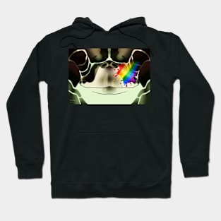 LGBT Pride Sea Turtle Face Hoodie